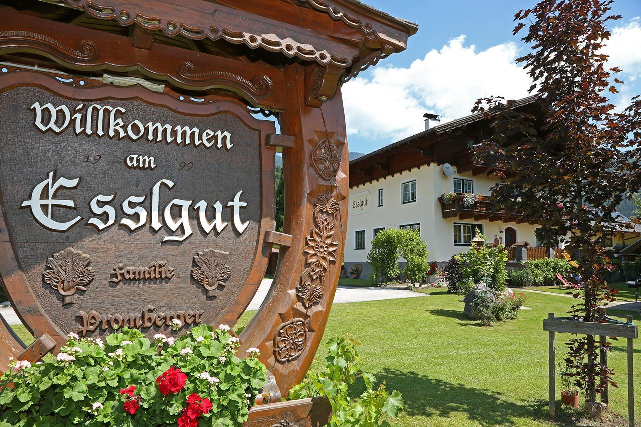 Appartments Am Esslgut Хаус-им-Энншталь Экстерьер фото